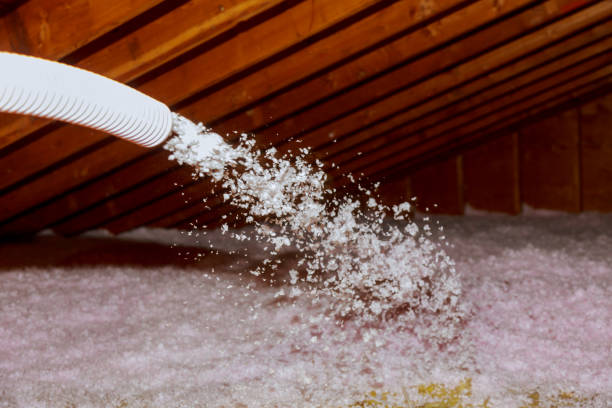 Insulation Contractors for Homes in Waukon, IA