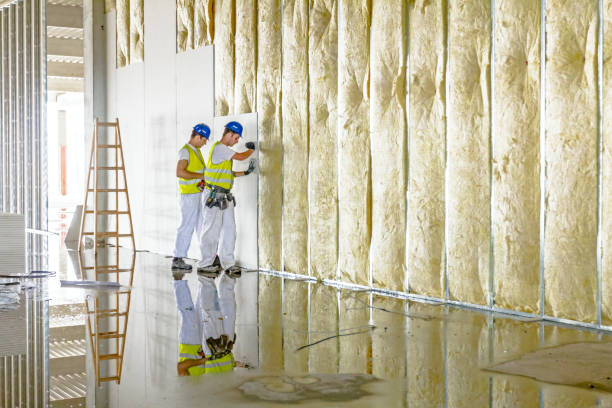 Insulation Replacement Services in Waukon, IA